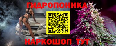 гидра Краснознаменск