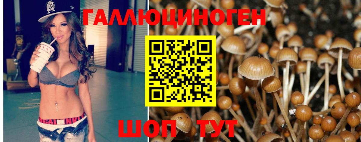 Псилоцибиновые грибы мицелий  купить  сайты  Псилоцибиновые грибы Psilocybe  Железноводск  Вход с VPN 